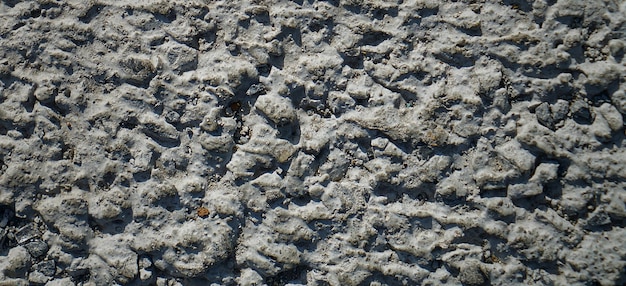 photo of vintage textured cement wall