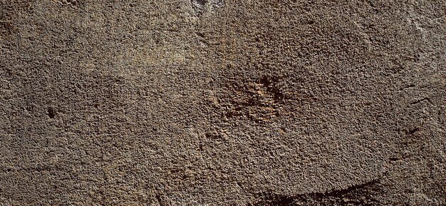 photo of vintage textured cement wall