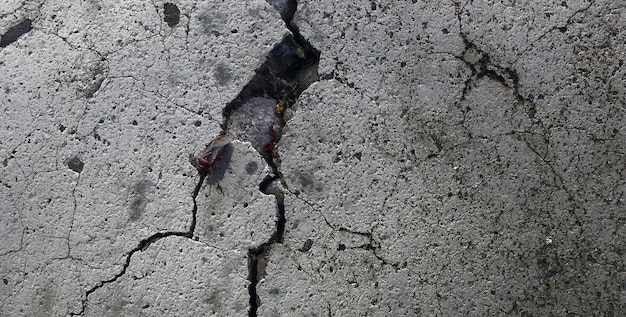 photo of vintage textured cement wall