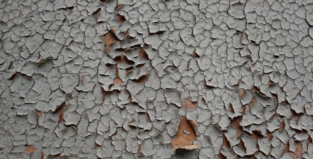 photo of vintage textured cement wall