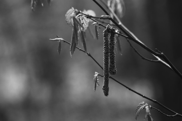 Photo photo of a walk in a city park