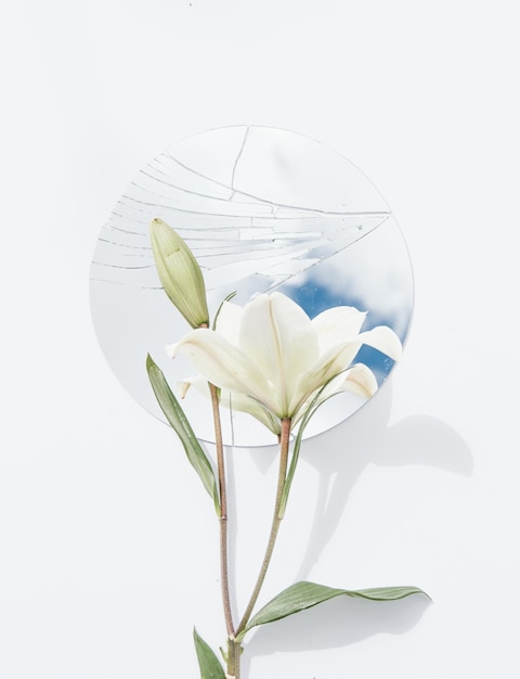 Фото акварель красочные цветы букет, изолированные на белом фоне