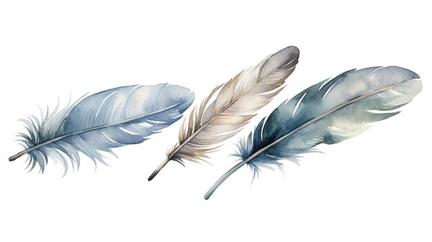 Photo watercolor gentle feathers pastel grey tones with blue Generative AI