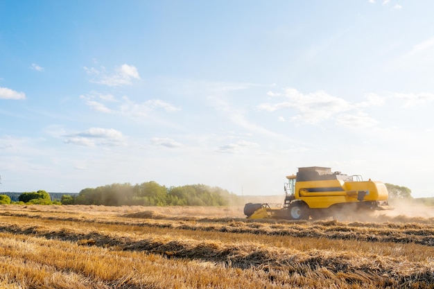 Photo of wheat field working combine harvester blue sky