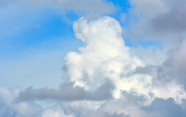 白い空と明るい青い雲の写真