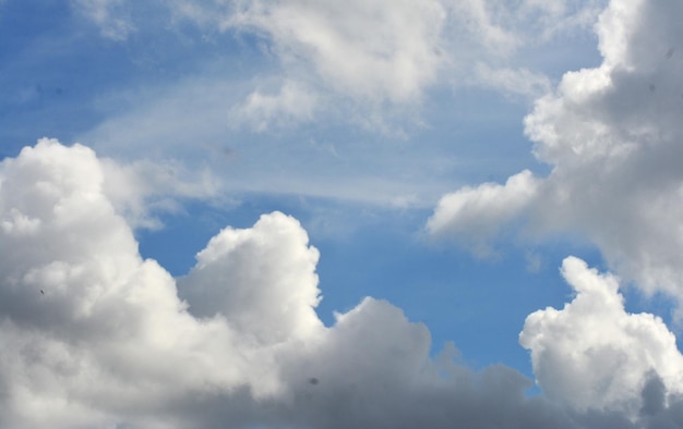 photo of white sky and bright blue clouds