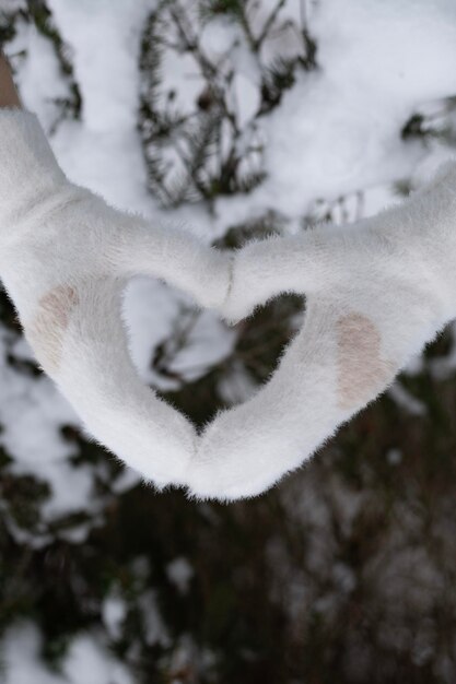 Photo photo in white winter gloves on a background