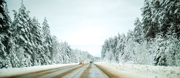 Foto della strada invernale con alberi nella neve di giorno