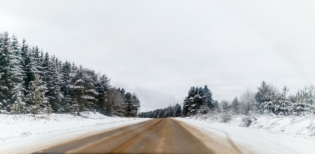 日中の雪に覆われた木々と冬の道の写真