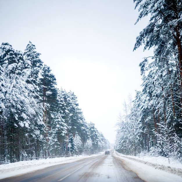 낮에 눈 속에서 나무와 겨울 도로의 사진