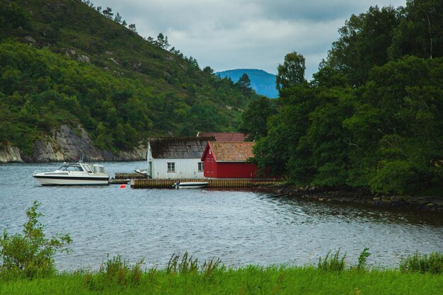 Photo photo with beautiful nature in summer in norway