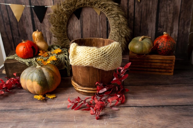 the photo zone is decorated with autumn leaves and pumpkins. background for autumn photo shoots helo