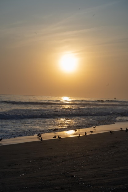 ペルーのビーチに沈む夕日の写真集