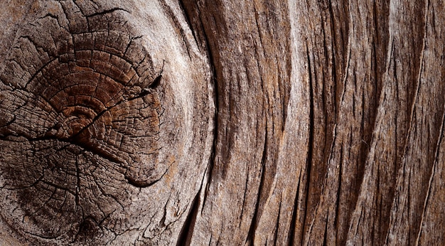 photograph of a beautiful wooden surface