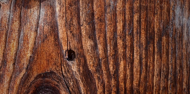 Photo photograph of a beautiful wooden surface