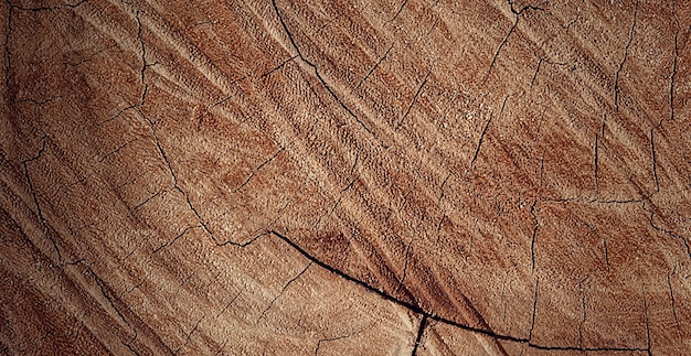 Fotografia di una bella superficie in legno