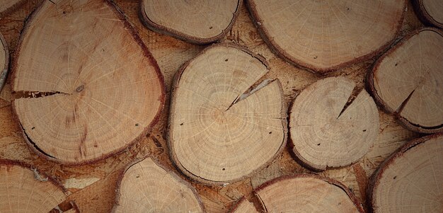 photograph of a beautiful wooden surface