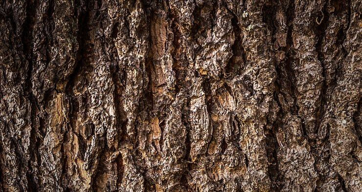 Photo photograph of a beautiful wooden surface