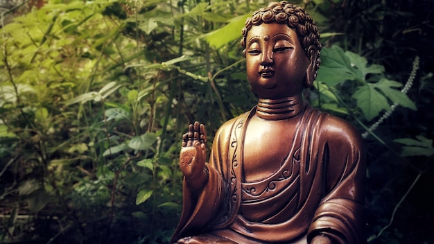 photograph of Buddha statue in meditation in the forest during the day