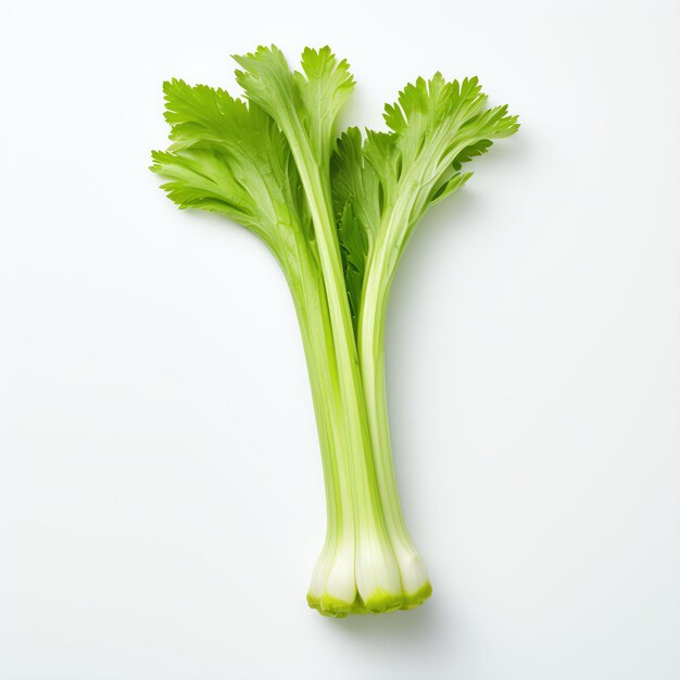 Photograph of celery top down view wite background