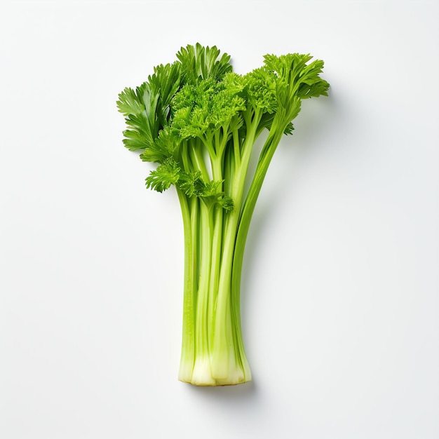 Photograph of celery top down view wite background