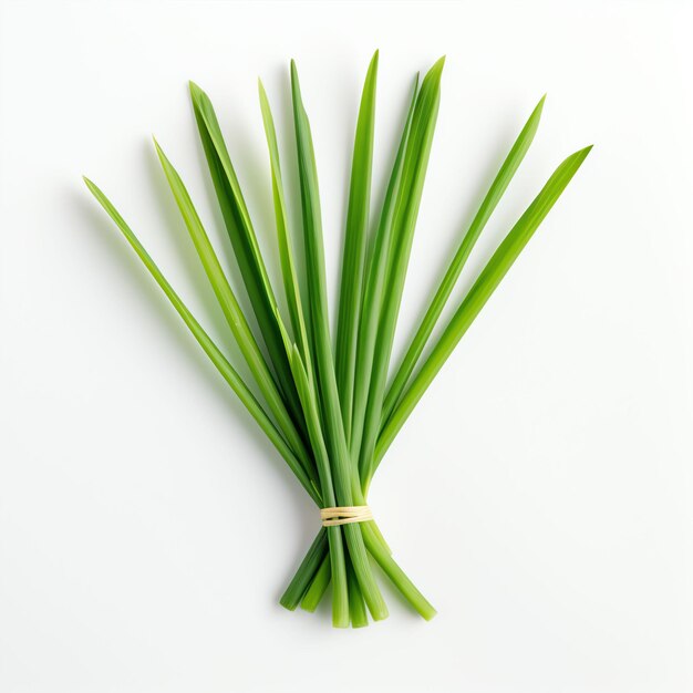 Photograph of lemongrass top down view wite background