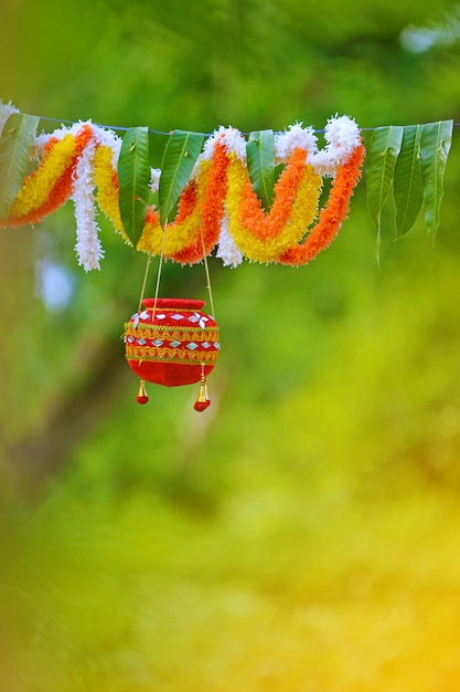 写真 インド・ダヒ・ハンディ祭りの写真
