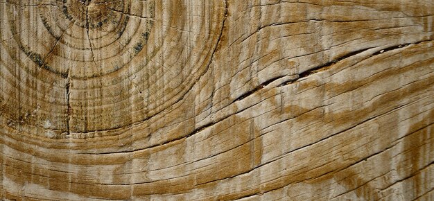 photograph of an old wooden surface