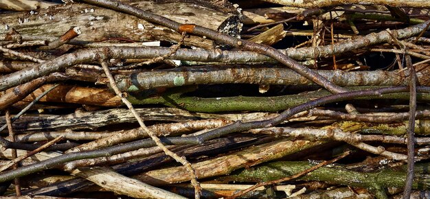 photograph of an old wooden surface