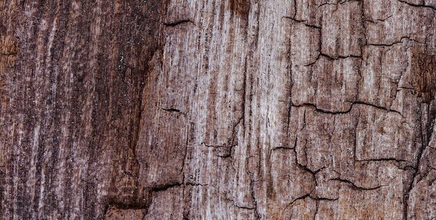 photograph of an old wooden surface