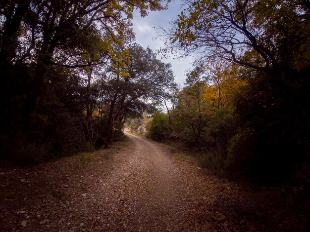 Photograph of the route of the hermitages in the Vadiello reservoir in the province of Huesca, Arago