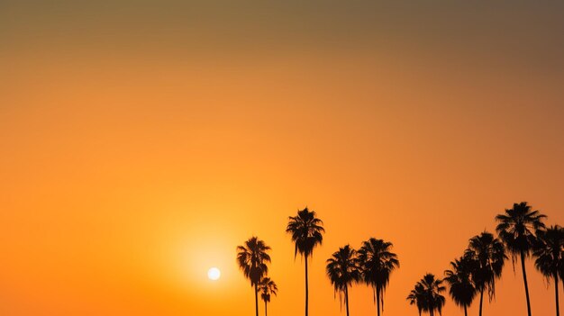 A photograph of a sky with sun clouds birds and trees