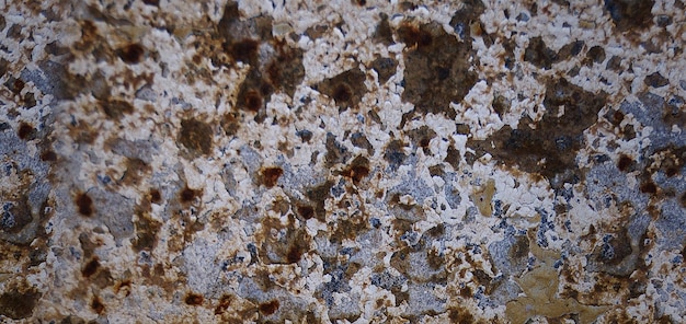 photograph of a stone surface