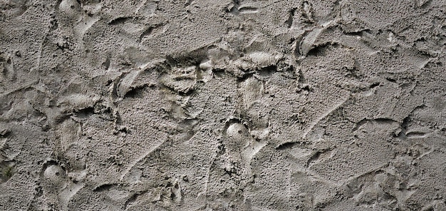 photograph of a stone surface