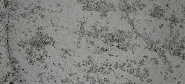 photograph of a stone surface