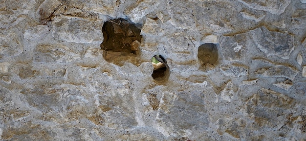 photograph of a stone surface