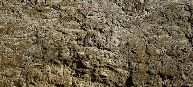 photograph of a stone surface