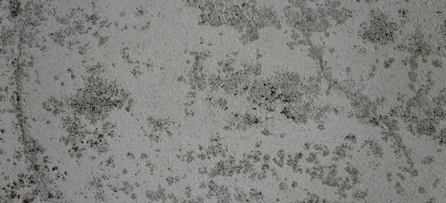 photograph of a stone surface