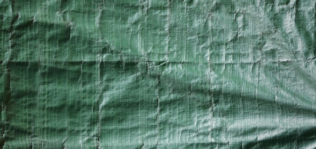 photograph of a tissue surface