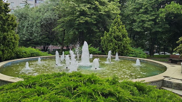 Photograph of the trees and the fountain pool in the park garden