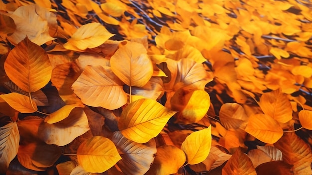 A photograph with dewdrops on leaves