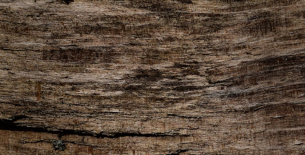 photograph of a wooden surface