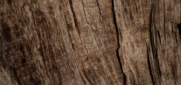 фотография деревянной поверхности