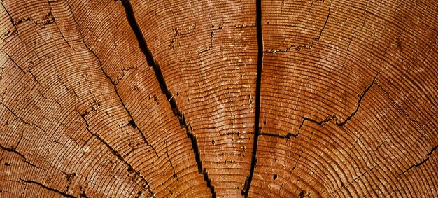 Photo photograph of a wooden surface