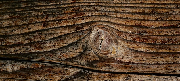 photograph of a wooden surface