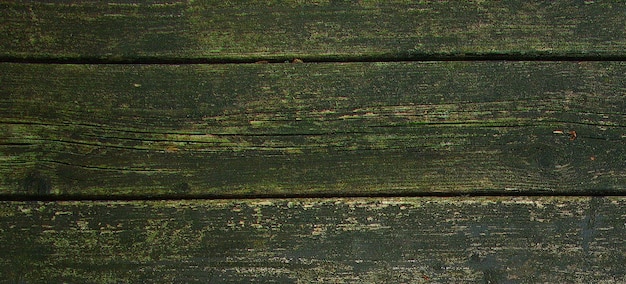 фотография деревянной поверхности