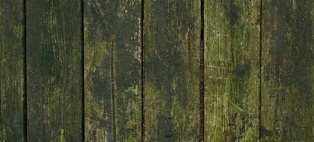 photograph of a wooden surface