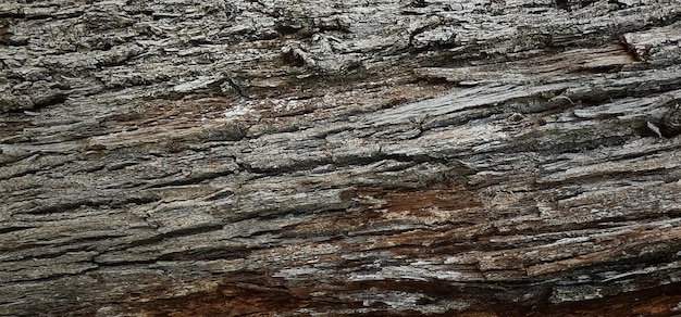 photograph of a wooden surface