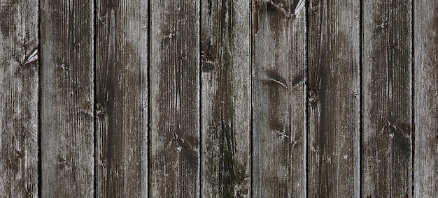 photograph of a wooden surface