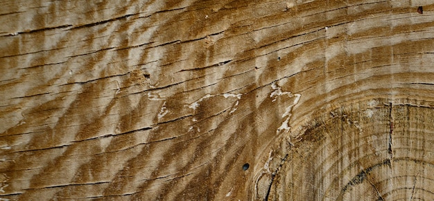 photograph of a wooden surface